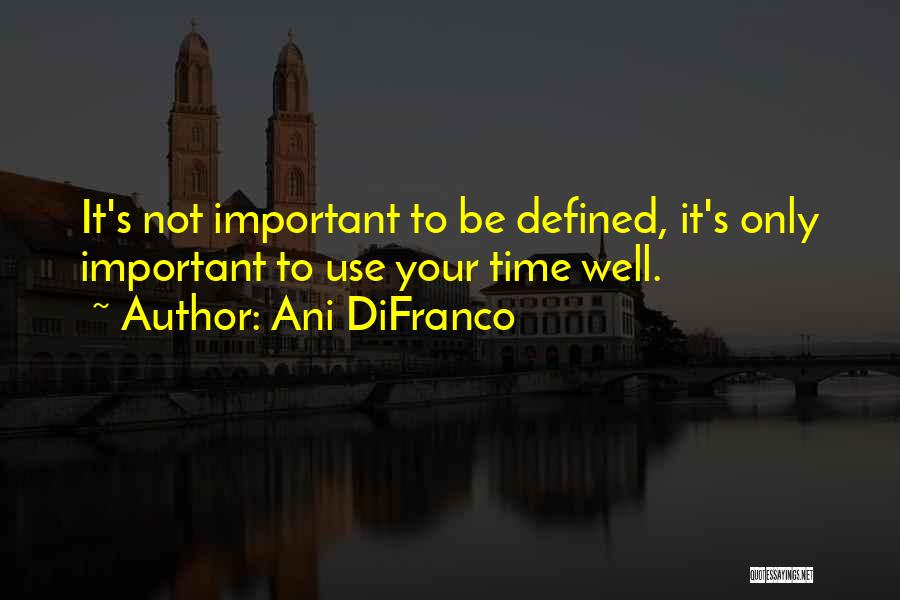 Well Defined Quotes By Ani DiFranco