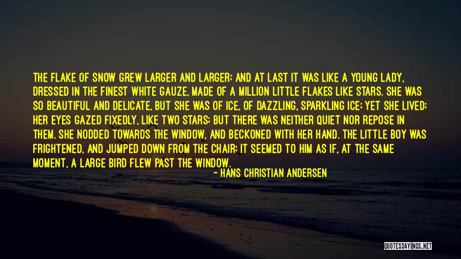 Well Dressed Lady Quotes By Hans Christian Andersen