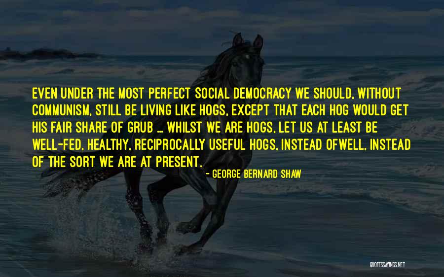 Well Fed Quotes By George Bernard Shaw