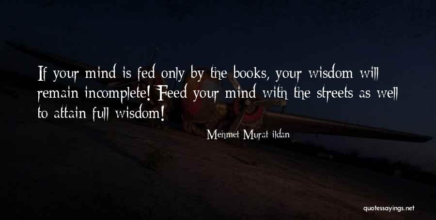 Well Fed Quotes By Mehmet Murat Ildan