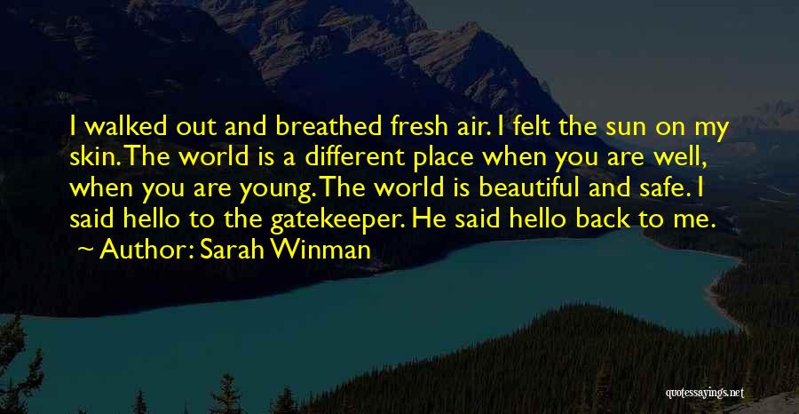 Well Hello Quotes By Sarah Winman