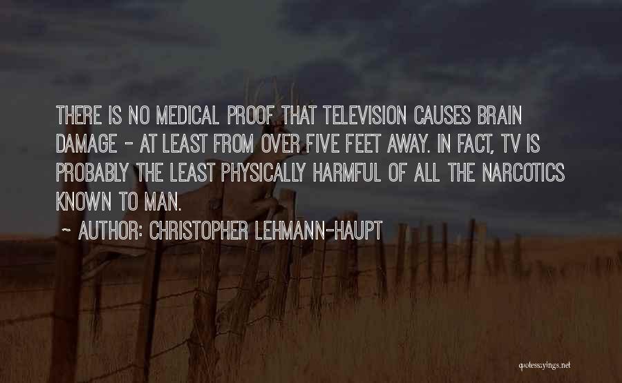 Well Known Television Quotes By Christopher Lehmann-Haupt