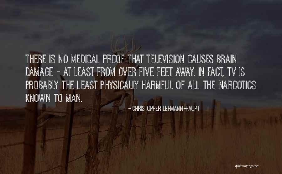 Well Known Television Quotes By Christopher Lehmann-Haupt