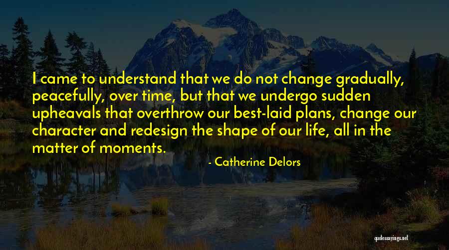 Well Laid Plans Quotes By Catherine Delors