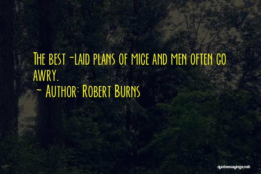 Well Laid Plans Quotes By Robert Burns