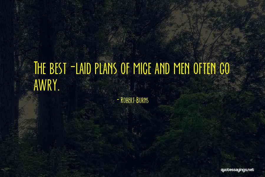 Well Laid Plans Quotes By Robert Burns