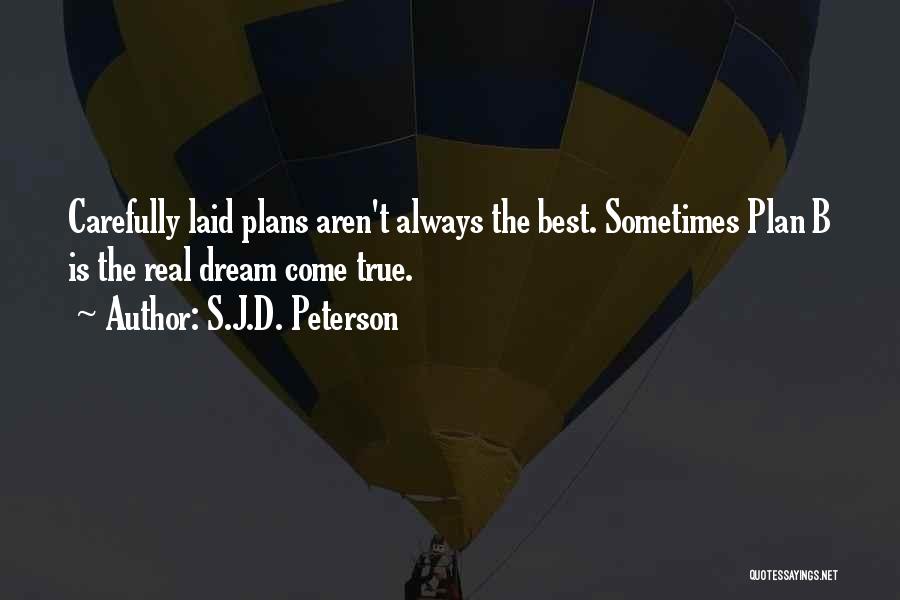 Well Laid Plans Quotes By S.J.D. Peterson