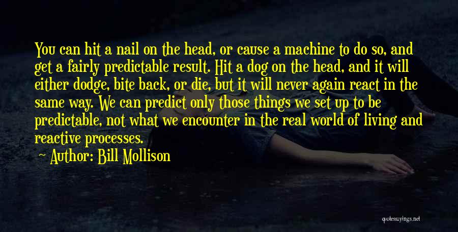 We'll Never Be The Same Again Quotes By Bill Mollison