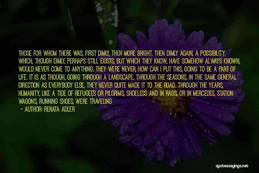 We'll Never Be The Same Again Quotes By Renata Adler