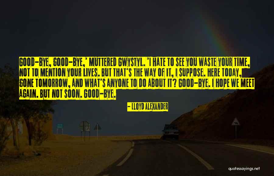We'll See You Soon Quotes By Lloyd Alexander We'll See You Soon Quotes By Lloyd Alexander