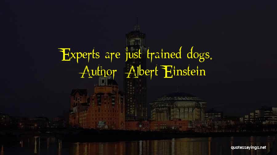 Well Trained Dog Quotes By Albert Einstein