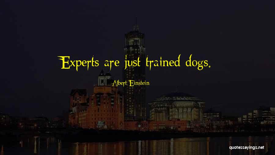 Well Trained Dog Quotes By Albert Einstein