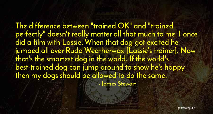 Well Trained Dog Quotes By James Stewart Well Trained Dog Quotes By James Stewart