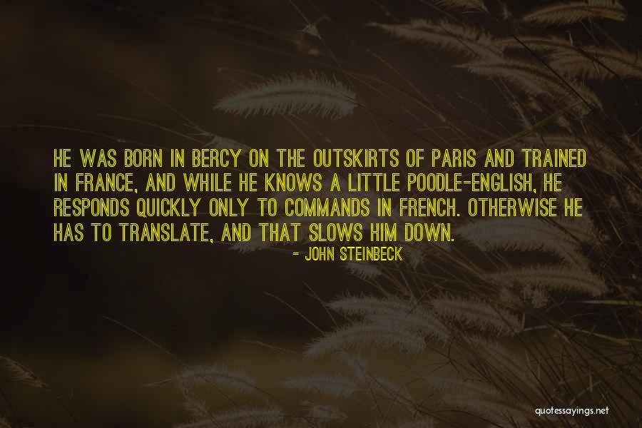 Well Trained Dog Quotes By John Steinbeck Well Trained Dog Quotes By John Steinbeck
