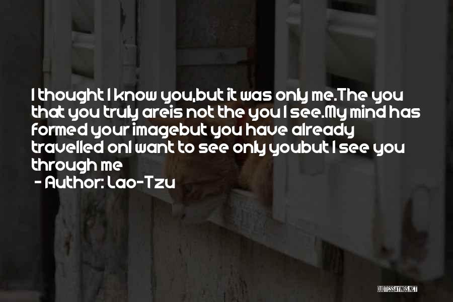 Well Travelled Quotes By Lao-Tzu