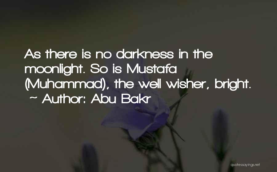 Well Wisher Quotes By Abu Bakr