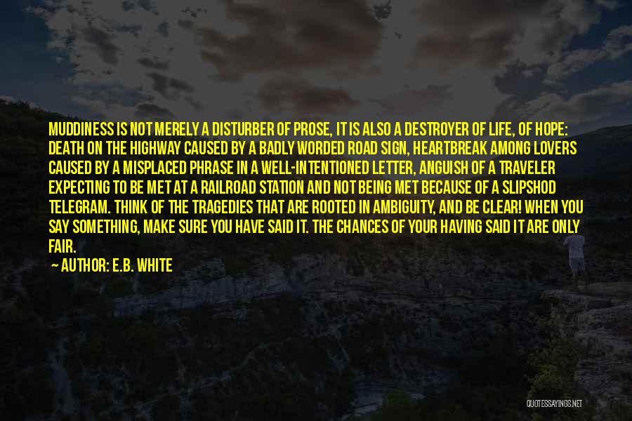 Well Worded Quotes By E.B. White