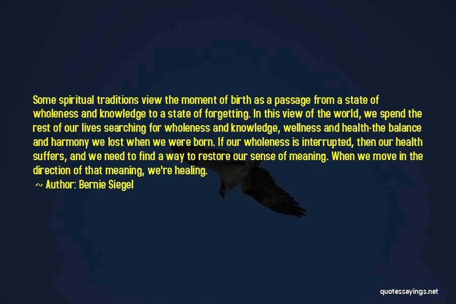 Wellness And Balance Quotes By Bernie Siegel