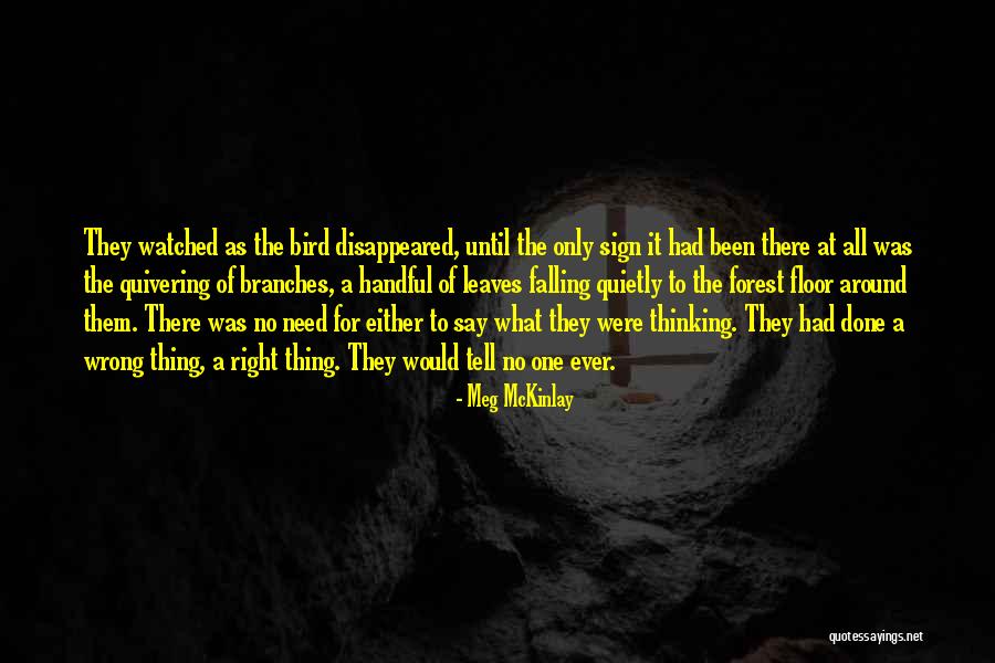 Wellsian Time Quotes By Meg McKinlay Wellsian Time Quotes By Meg McKinlay