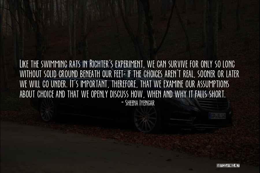 Welteroth Editor Quotes By Sheena Iyengar Welteroth Editor Quotes By Sheena Iyengar