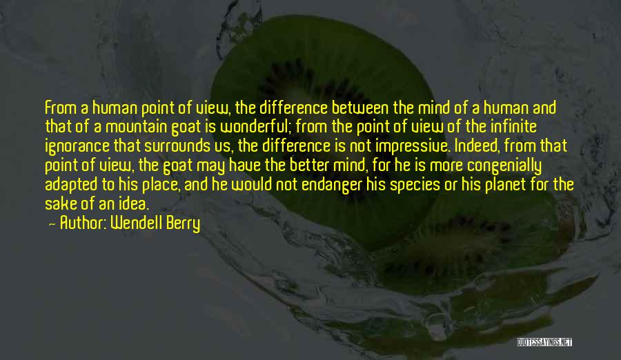 Wendell Berry Quotes 1614508