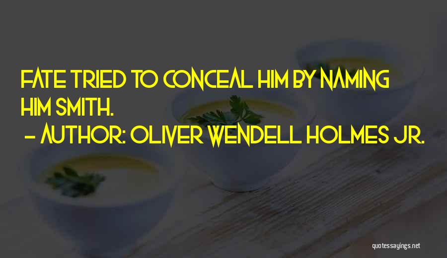 Wendell Smith Quotes By Oliver Wendell Holmes Jr.