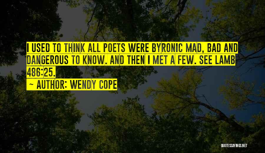 Wendy Cope Quotes 1596924