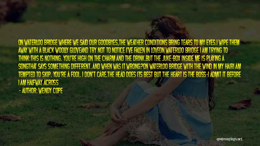 Wendy Cope Quotes 781746