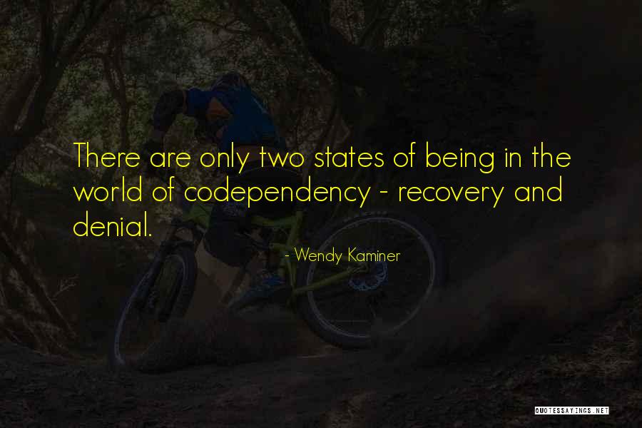 Wendy Kaminer Quotes 296482