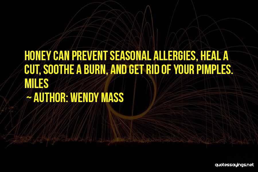 Wendy Mass Quotes 740648