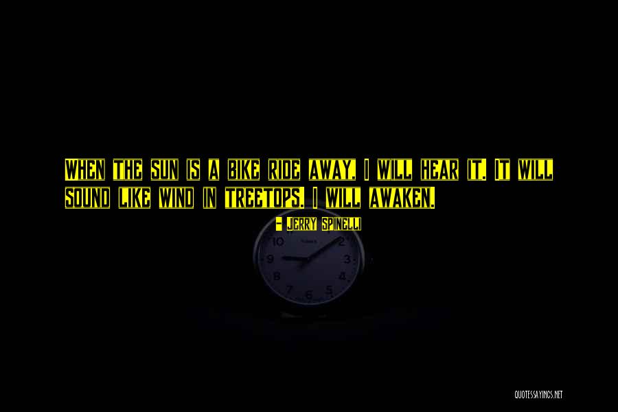 Weniger Ist Quotes By Jerry Spinelli Weniger Ist Quotes By Jerry Spinelli