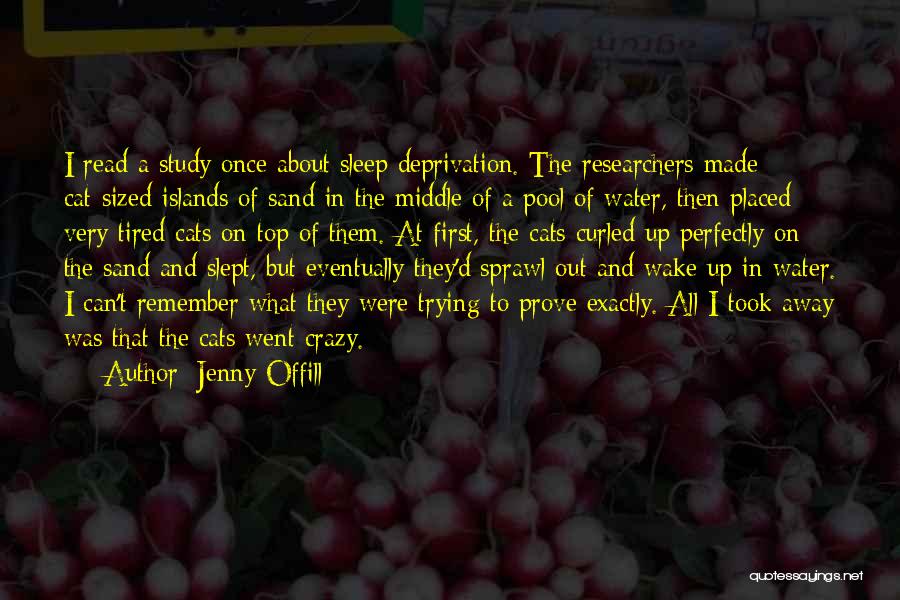 Went Away Quotes By Jenny Offill Went Away Quotes By Jenny Offill