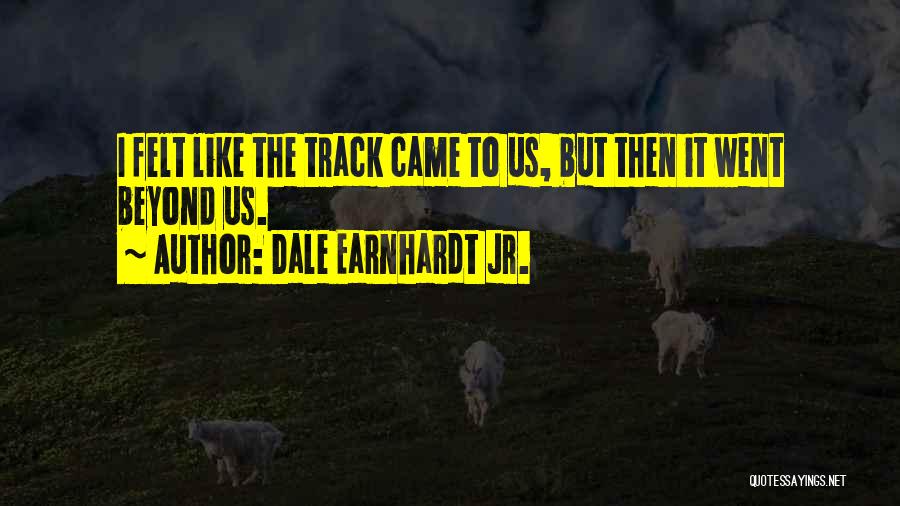 Went Beyond Quotes By Dale Earnhardt Jr.
