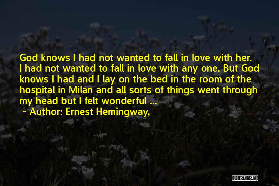 Went Through Things Quotes By Ernest Hemingway,