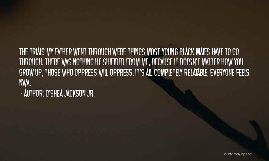 Went Through Things Quotes By O'Shea Jackson Jr.