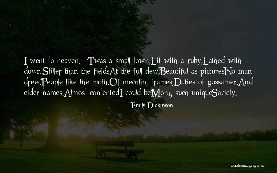 Went To Heaven Quotes By Emily Dickinson Went To Heaven Quotes By Emily Dickinson