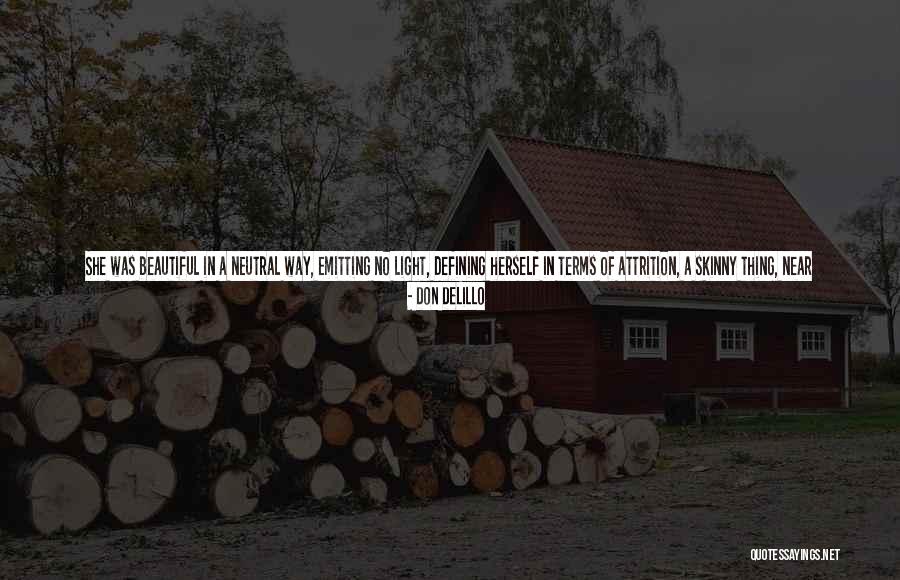 Went Together Quotes By Don DeLillo Went Together Quotes By Don DeLillo