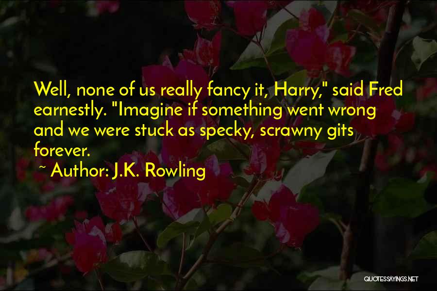 Went Wrong Quotes By J.K. Rowling