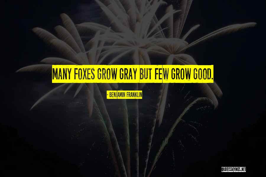 Wenzel Chevrolet Quotes By Benjamin Franklin Wenzel Chevrolet Quotes By Benjamin Franklin