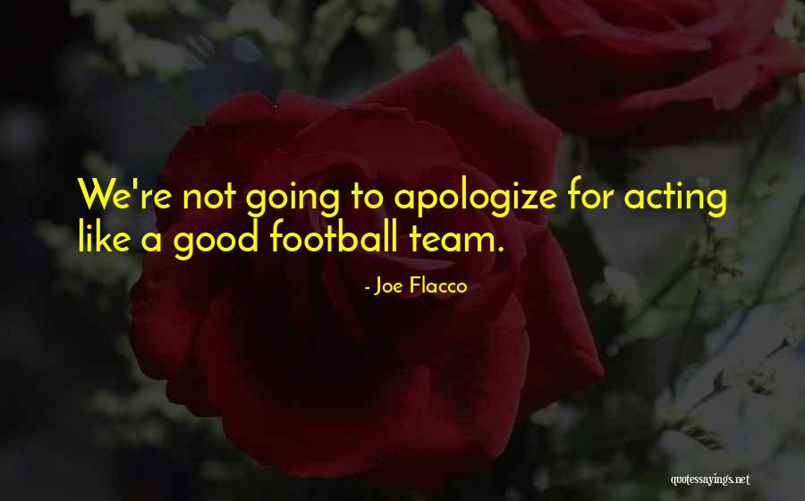 We're A Team Quotes By Joe Flacco