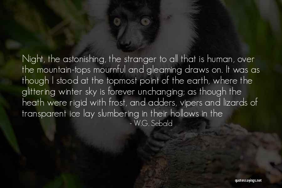 Were All Human Quotes By W.G. Sebald Were All Human Quotes By W.G. Sebald