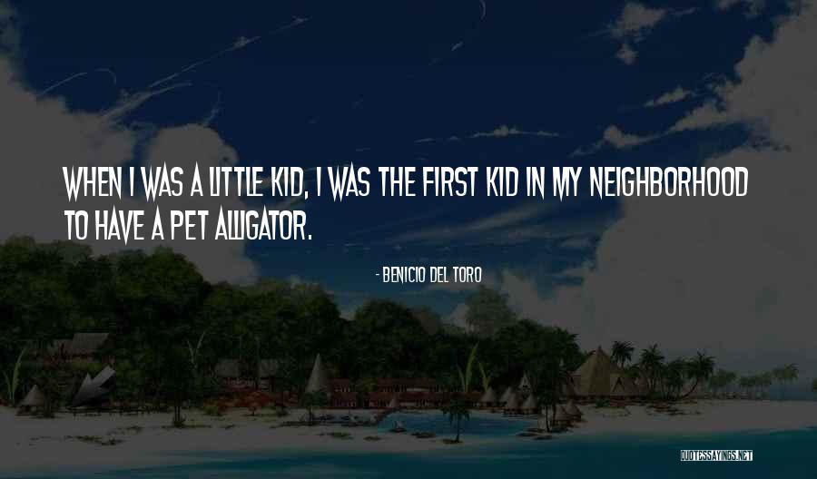 Were Alligator Quotes By Benicio Del Toro Were Alligator Quotes By Benicio Del Toro