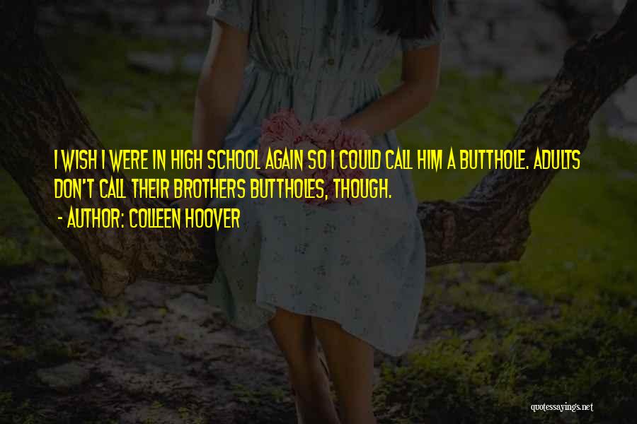 Were Brothers Quotes By Colleen Hoover