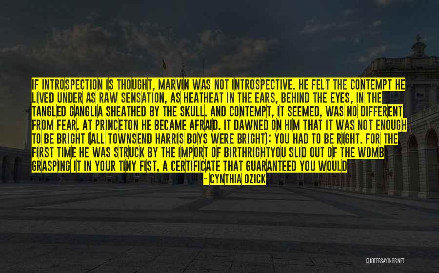 Were Doomed Quotes By Cynthia Ozick Were Doomed Quotes By Cynthia Ozick