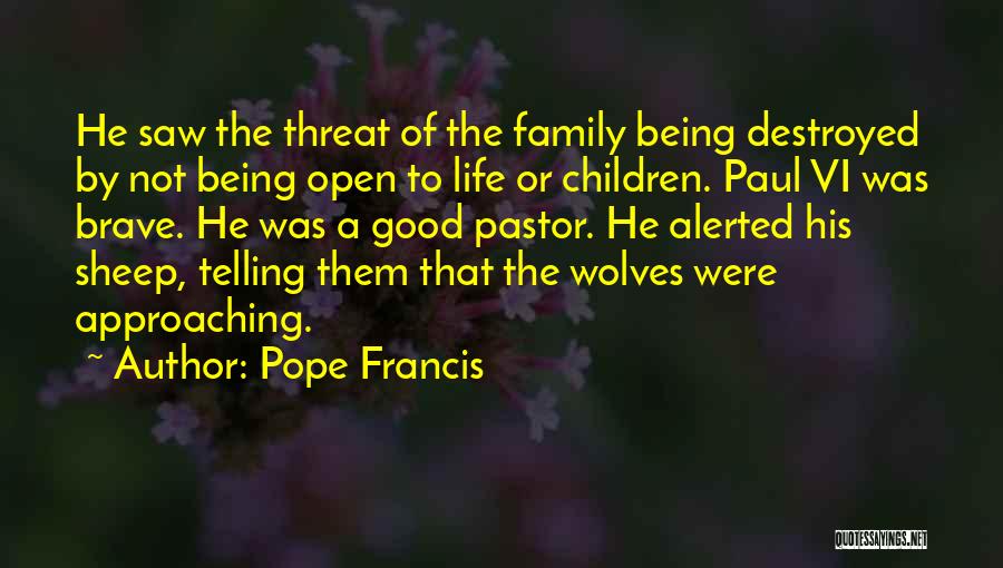 Were Family Quotes By Pope Francis
