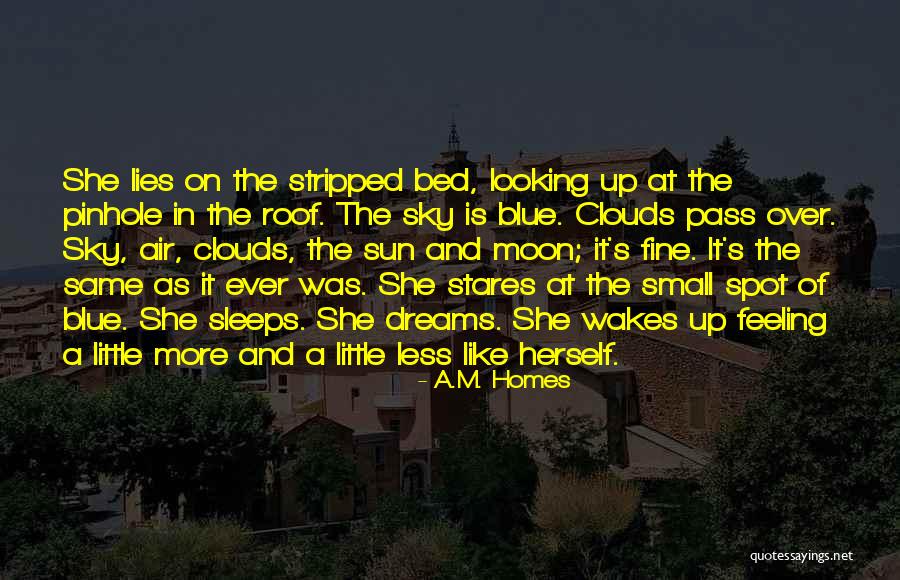 We're Looking At The Same Moon Quotes By A.M. Homes We're Looking At The Same Moon Quotes By A.M. Homes