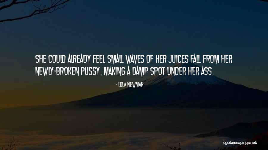 Were Making Waves Quotes By Lola Newmar Were Making Waves Quotes By Lola Newmar