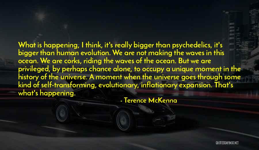Were Making Waves Quotes By Terence McKenna Were Making Waves Quotes By Terence McKenna