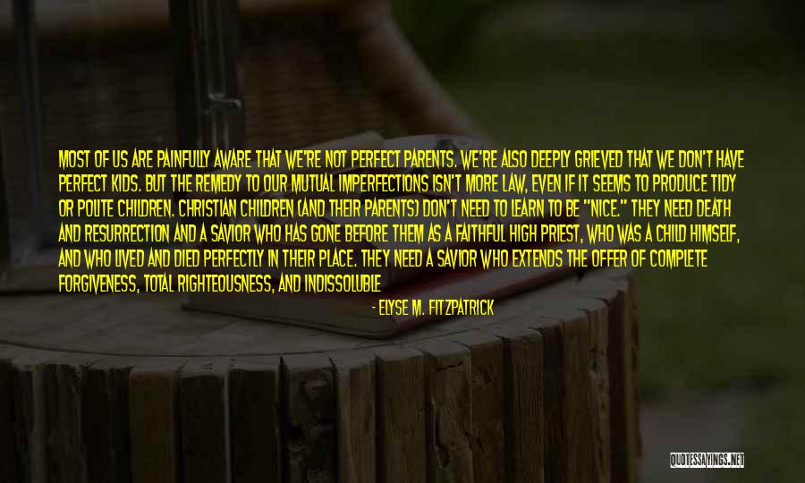We're Not Perfect But Quotes By Elyse M. Fitzpatrick We're Not Perfect But Quotes By Elyse M. Fitzpatrick