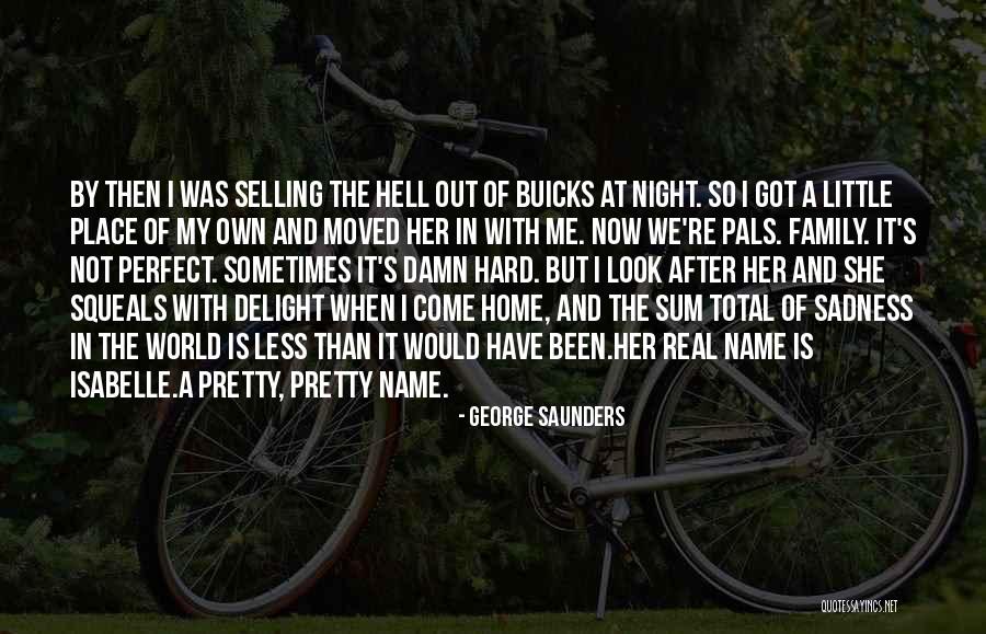We're Not Perfect But Quotes By George Saunders We're Not Perfect But Quotes By George Saunders